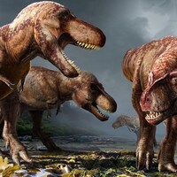Illustration artistique montrant quatre T. rex dans leur environnement.