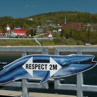 Le ville de Tadoussac.