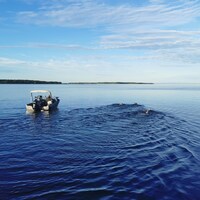 Un bateau suit des nageurs dans l'eau du lac Saint-Jean.