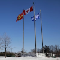 L'Université Laval en hiver. Le drapeau de l'université flotte aux côtés de l'unifolié et du fleurdelisé. 