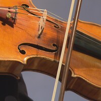 Un violon est photographié en très gros plan. 