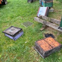 Des boîtes en bois endommagées, sur le sol, devant plusieurs autres ruches intactes.
