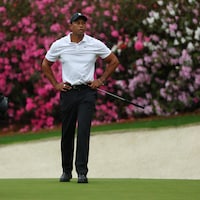 Le golfeur Tiger Woods, flanqué de son cadet, regarde le résultat d'un des ses coups avec, en arrière-plan, une magnifique haie fleurie.