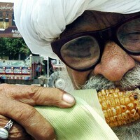 Gros plan sur un aîné pakistanais mangeant un épi de maïs.