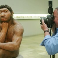 Reconstitution d'un homme de Néandertal prise en photo en 2006 par un Homo sapiens, au Musée de la préhistoire de Halle, en Allemagne.