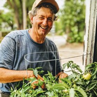 Un homme au visage souriant et ses mains touchent un plant de tomates très proche de lui.