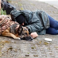 Un jeune itinérant dort sur le trottoir avec son chien.