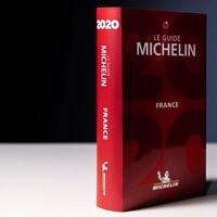 Le livre Guide Michelin est présenté fermé et à la verticale sur un fond neutre. 