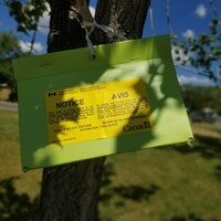 Une boite triangulaire verte suspendue d'un arbre avec un message d'avis en jaune sur le dessus. 