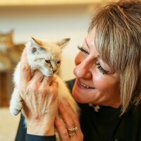 Un chaton blanc et gris dans les mains d'une femme souriante.