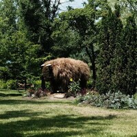 Un bison fabriqué à partir de plantes et d'arbustes.