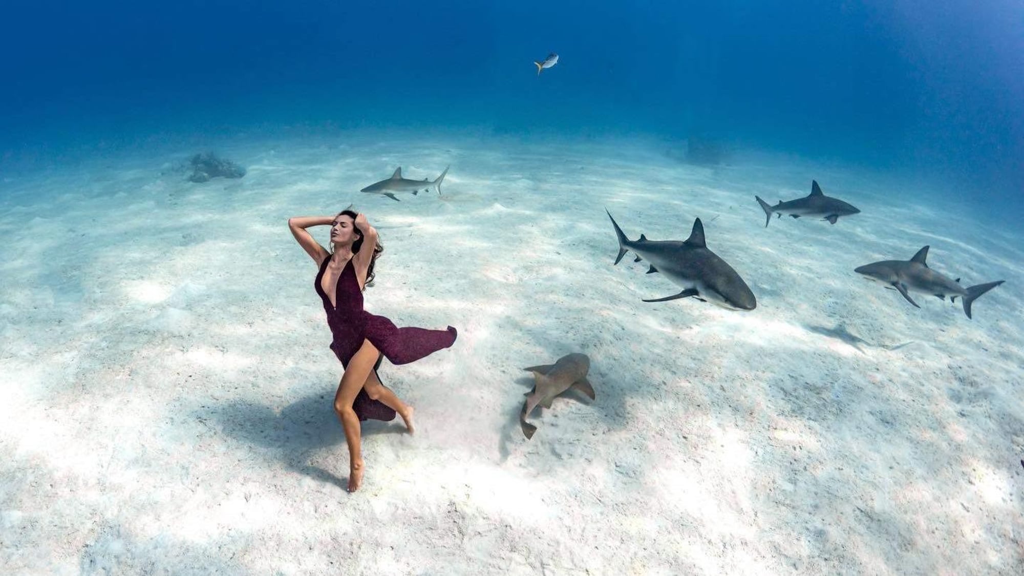 Une femme en robe marche au fond de la mer, entourée de requins.