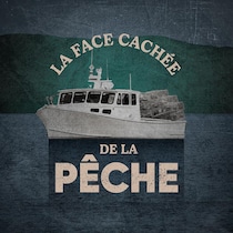 Visuel du balado « La face cachée de la pêche ».