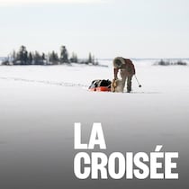Clémentine Bouche prend une pause avec son chien et son traîneau lors de son expédition.