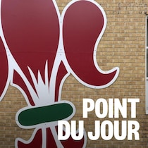 une murale de la fleur de lys sur un mur de brique