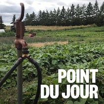 Système d’irrigation dans un jardin.