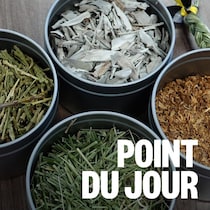 Les quatre herbes de base pour les sacs médicinaux dans des pots.