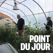 Une personne est à l'intérieur d'une serre agricole. 