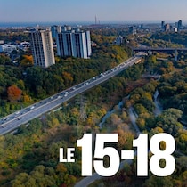 Vue aérienne avec beaucoup de verdure de la ville de Toronto. 