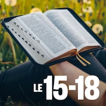 Une personne tenant une Bible ouverte, avec de l'herbe haute en arrière-plan.