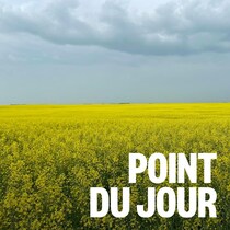 Un champ de canola aux couleurs jaunes avec un ciel gris en arrière-plan