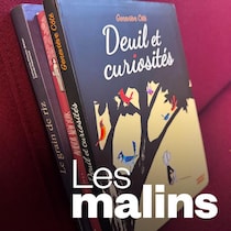 Les bandes dessinées «Deuil et curiosités» de Geneviève Côté, «Au revoir New York» de Paul Bordeleau et «Le grain de riz» de Catherine Plessis-Bédard et Daniel Plaisance.