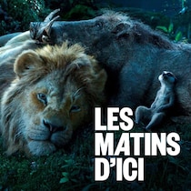Simba, Timon et Pumba se prélassent dans cette image tirée de la nouvelle version du «Roi lion».