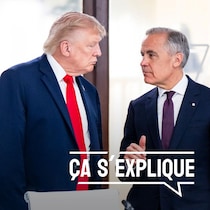 Donald Trump et Mark Carney en pleine discussion.