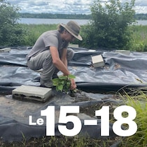 Un homme est penché sur le sol près d'une rivière.