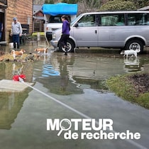Un terrain résidentiel est gorgé d'eau.