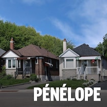 Des maison dans une rue banlieusarde.