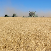 Des engins agricoles sur un champ.
