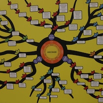 Un arbre coloré qui montre les ramifications d'une identité.