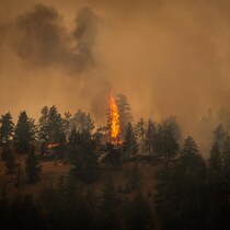 Des arbres brûlent et des colonnes de fumée s'élancent lors du feu de Bald Ranger à Summerland, en Colombie-Britannique, le 8 août 2026.