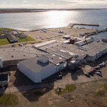 Une vue aérienne de l'usine de transformation.