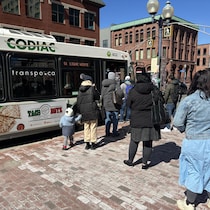Des passagers font la file pour monter à bord d'un autobus de Codiac Transpo, sur la rue Main à Moncton. 