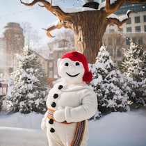 Le Bonhomme Carnaval à l'extérieur en hiver