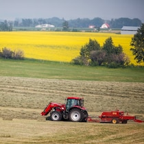 Un agriculteur met en balles sa récolte de foin devant un champ de canola à l'arrière-plan alors que de la fumée de feu de forêt flotte dans l'air près de Cremona, en Alberta, le vendredi 16 juillet 2021.