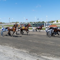Des chevaux et leurs cavaliers sur une piste de course de l'Hippodrome de Trois-Rivières.