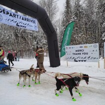 Un participant avec ses chiens sur la ligne de départ.