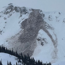 Un flanc de montagne enneigé déchiré par un éboulement.