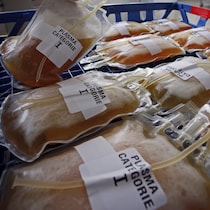 Une technicienne vérifie des sacs qui contiennent des échantillons de plasma sanguin dans un laboratoire de l'Établissement français du sang, à Marseille, le 1er avril 2009.