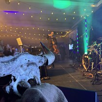 Un artiste sur la scène du festival jeunesse Francofièvre 2025