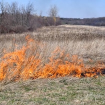 Un feu qui brûle du foin sec.