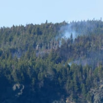 Un feu dans une forêt.