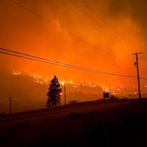 Un poteau, une ligne électrique fuyante sur fond de ciel postapocalyptique orange et des flammes qui brûlent dans une forêt au loin.
