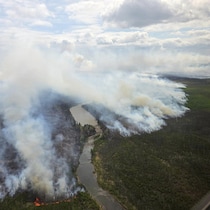 Une vue aérienne d'un feu de forêt.