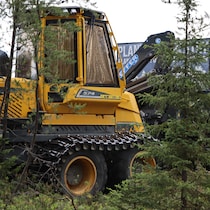 Une machine circule dans la forêt.