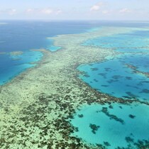 La Barrière de corail australienne vue des airs est verte et jaune. 