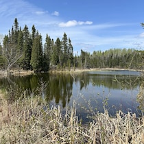 Le lac Fillion à Shipshaw.